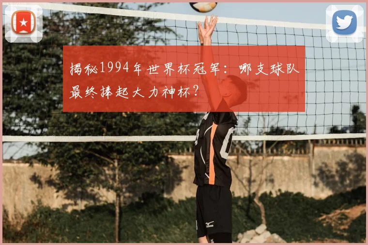 揭秘1994年世界杯冠军：哪支球队最终捧起大力神杯？